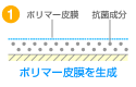 kokin_1.gif